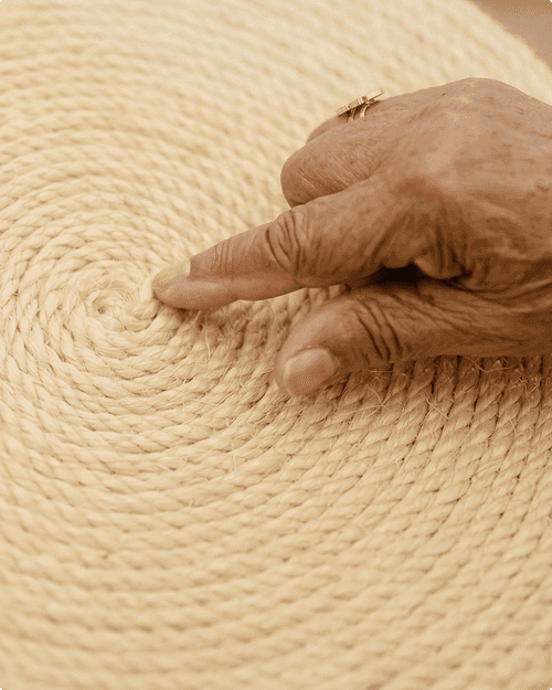 Capital Social e Humano
